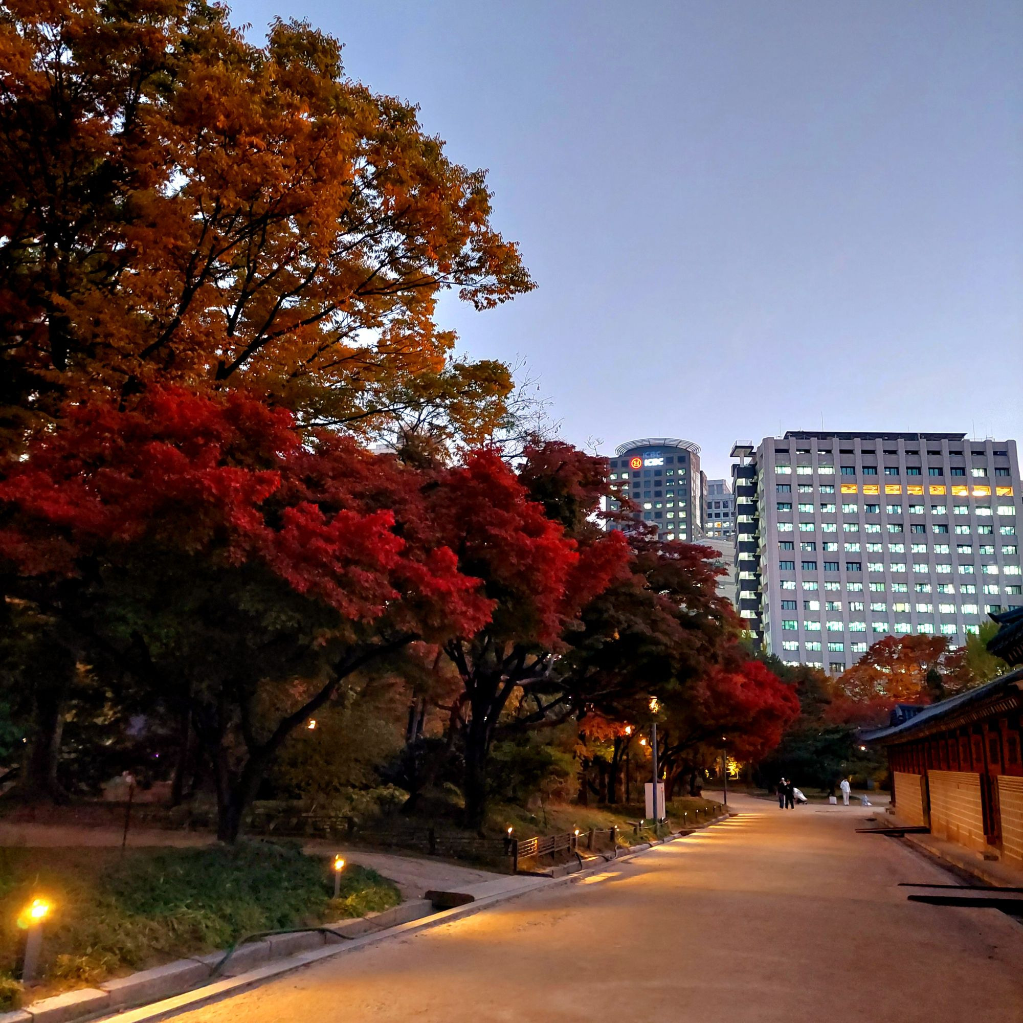 덕수궁가라 제발 | 인스티즈