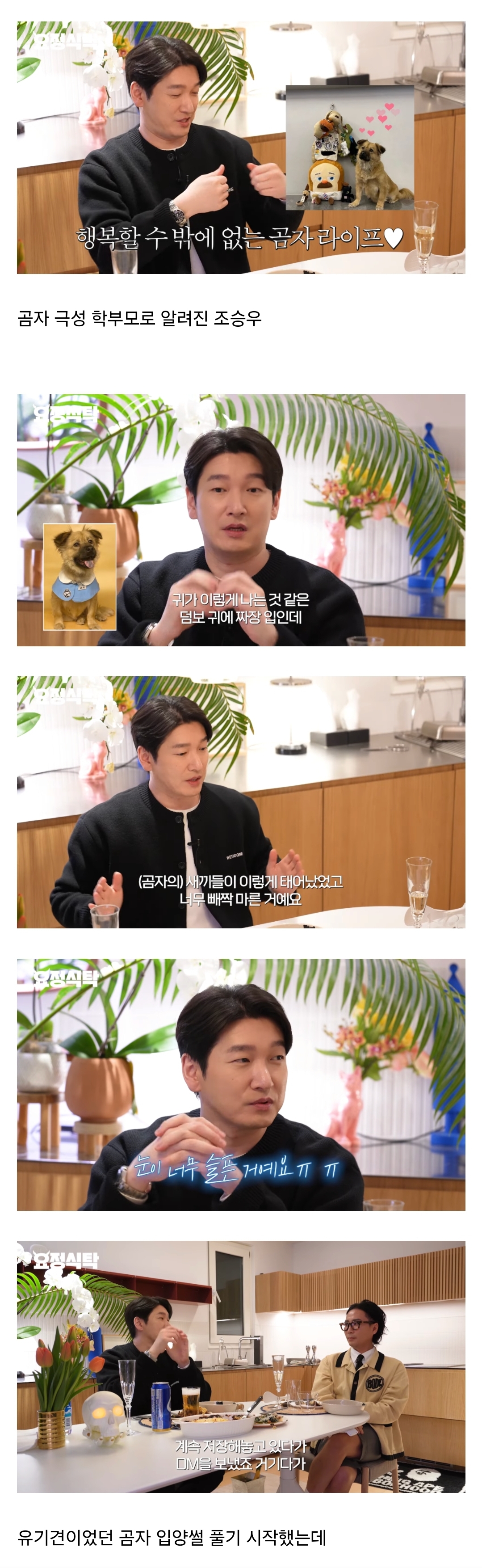 자식자랑하다가 인스타 비계 고백하는 연예인 | 인스티즈