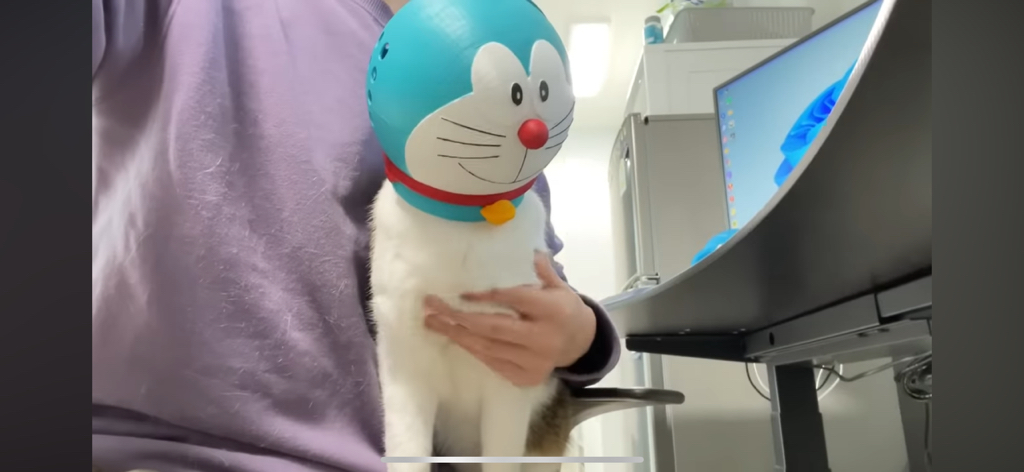 [hahaha] 도라에몽이 된 무(feat.무라에몽) | 인스티즈