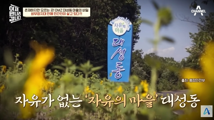 대성동 마을이 북한과 얼마나 가까운지 체감 | 인스티즈
