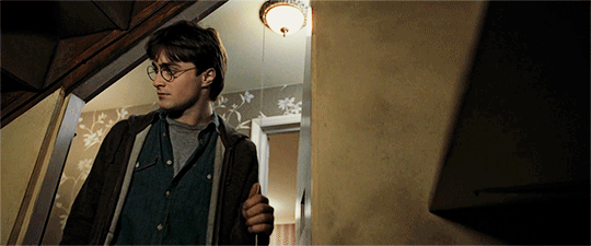 해리포터 팬들 사이에서 갈리는 유형 | 인스티즈