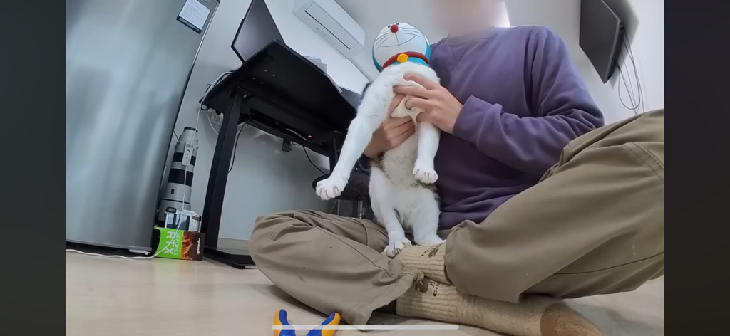 [hahaha] 도라에몽이 된 무(feat.무라에몽) | 인스티즈