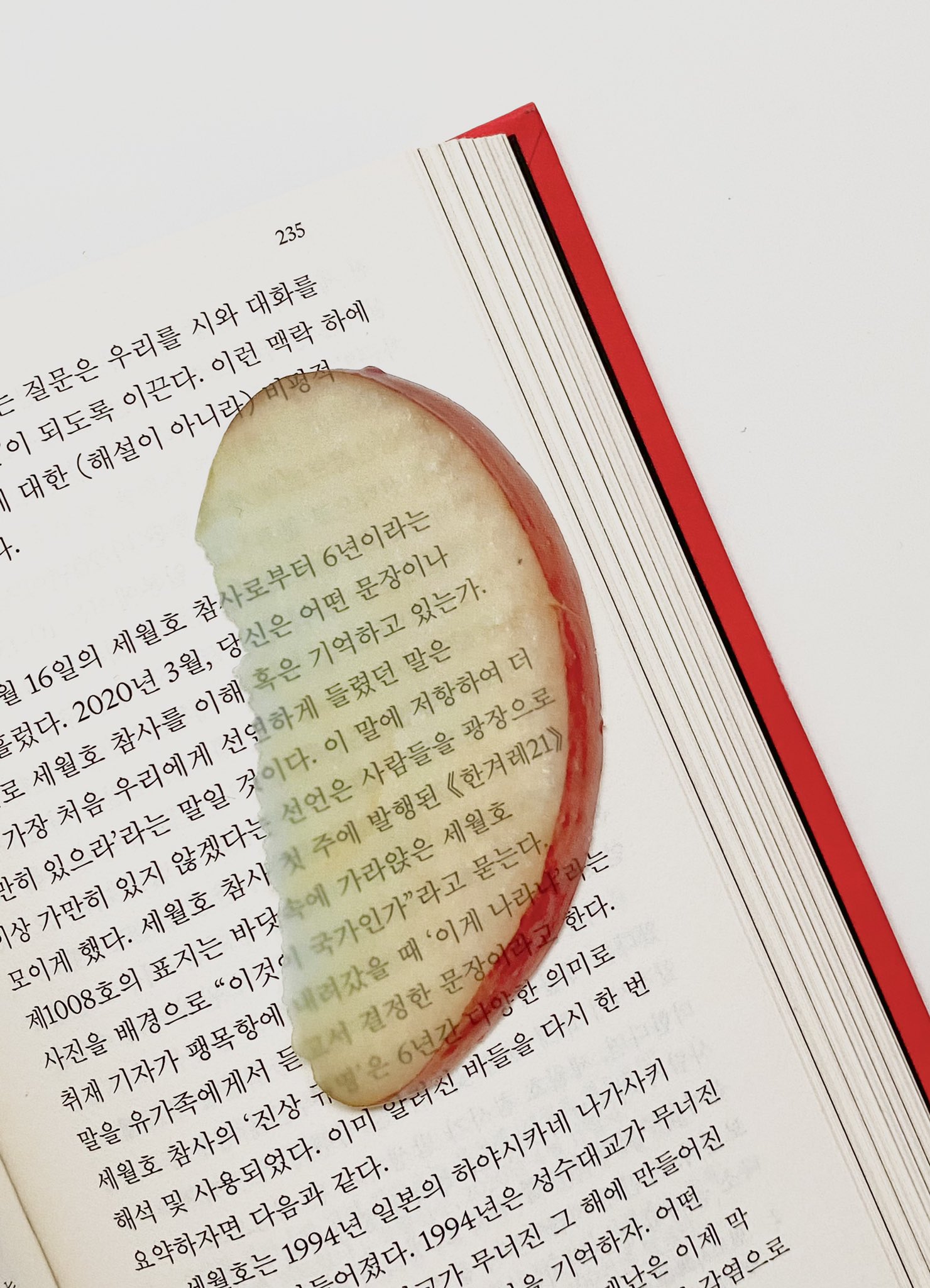 예쁘고 신기한 옥토 작가님 책갈피 모음 | 인스티즈