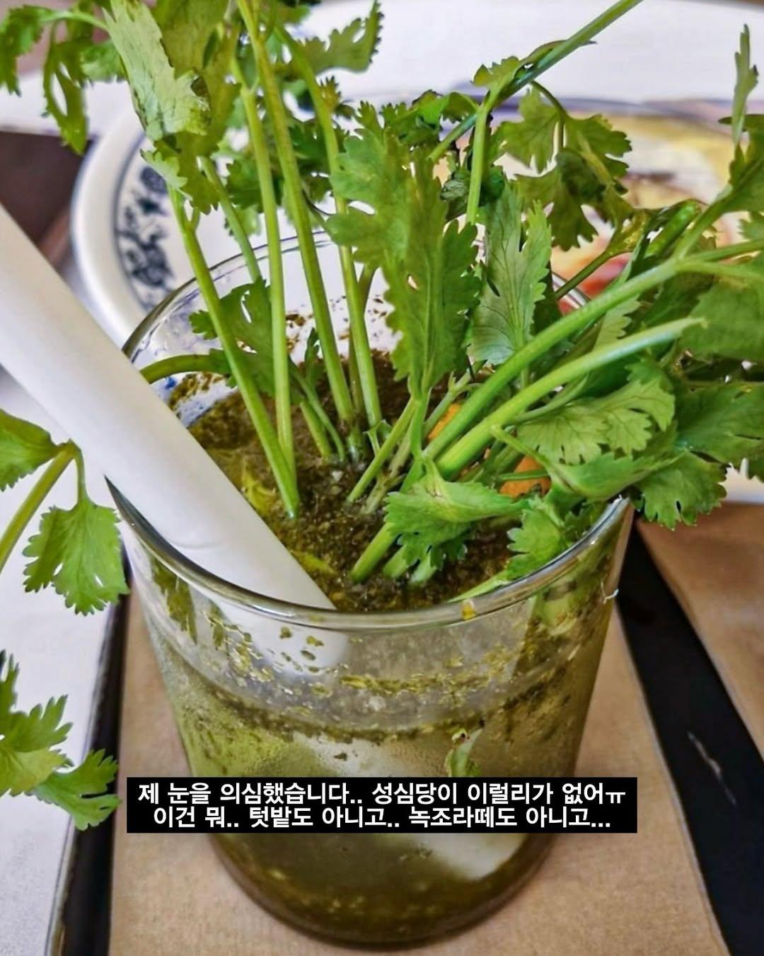 성심당이 내놓은 선넘은 텃밭에디션 | 인스티즈