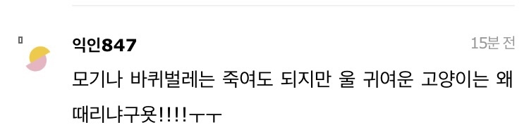 길고양이 한대 때렸는데 내가 잘못한거냐 | 인스티즈