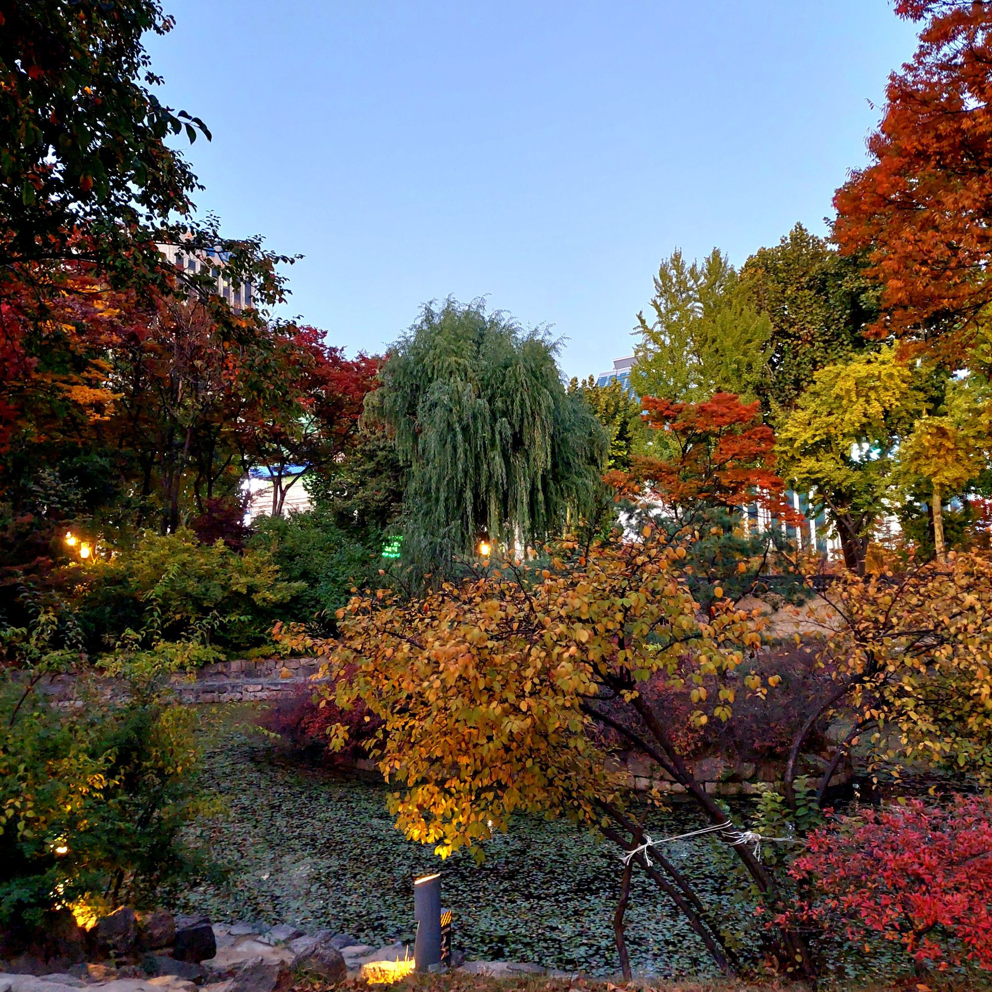 덕수궁가라 제발 | 인스티즈