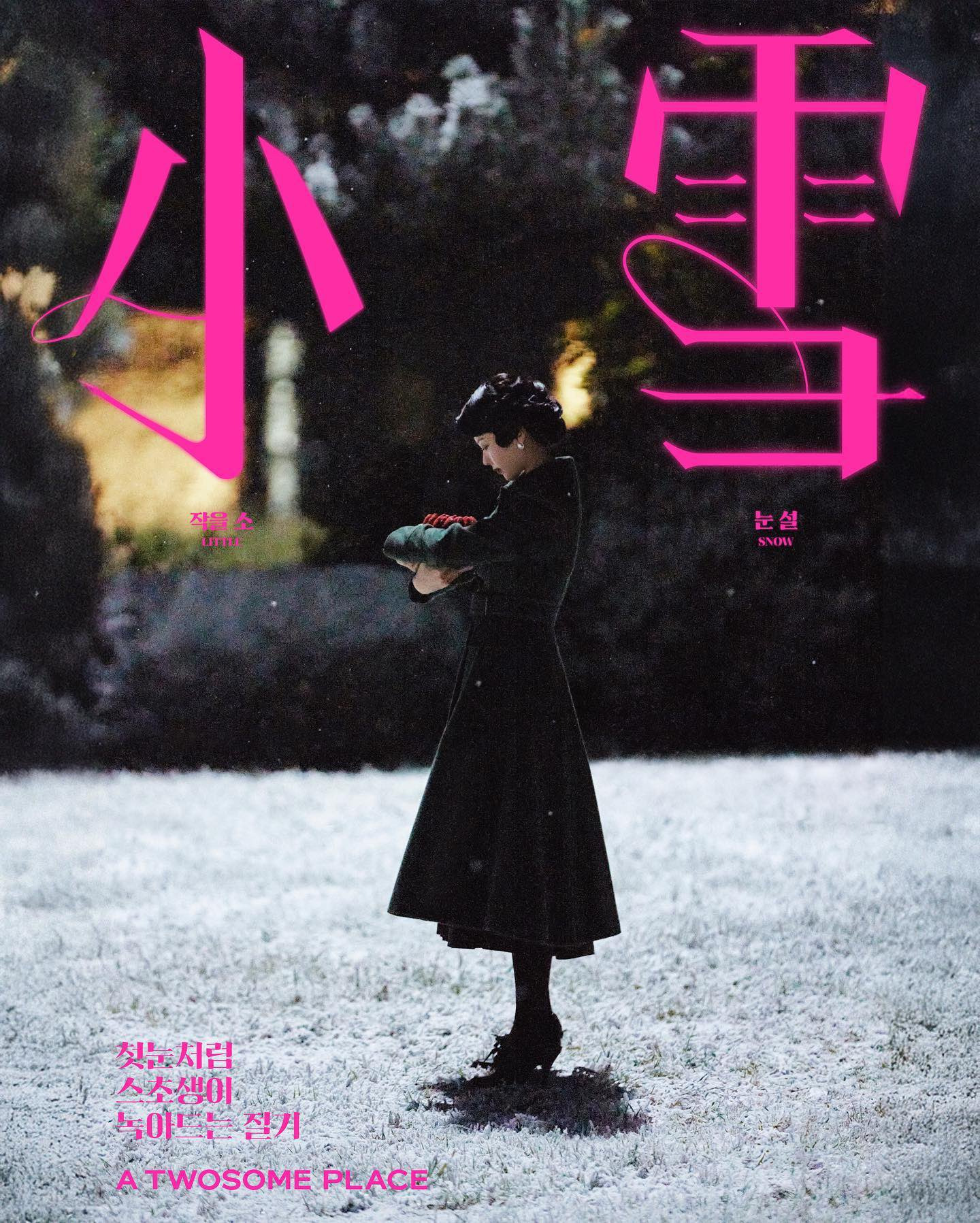 홍보 감다살이라는 투썸플레이스 모델 | 인스티즈