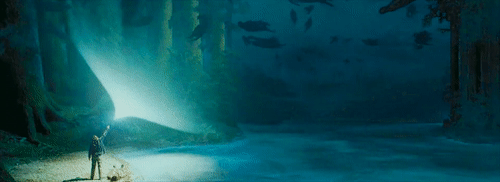 해리포터 팬들 사이에서 갈리는 유형 | 인스티즈