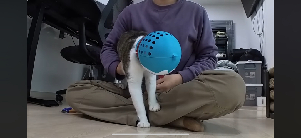 [hahaha] 도라에몽이 된 무(feat.무라에몽) | 인스티즈