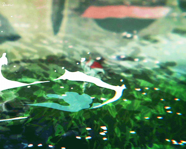 사랑해, 태어나줘서 고마워 | 인스티즈