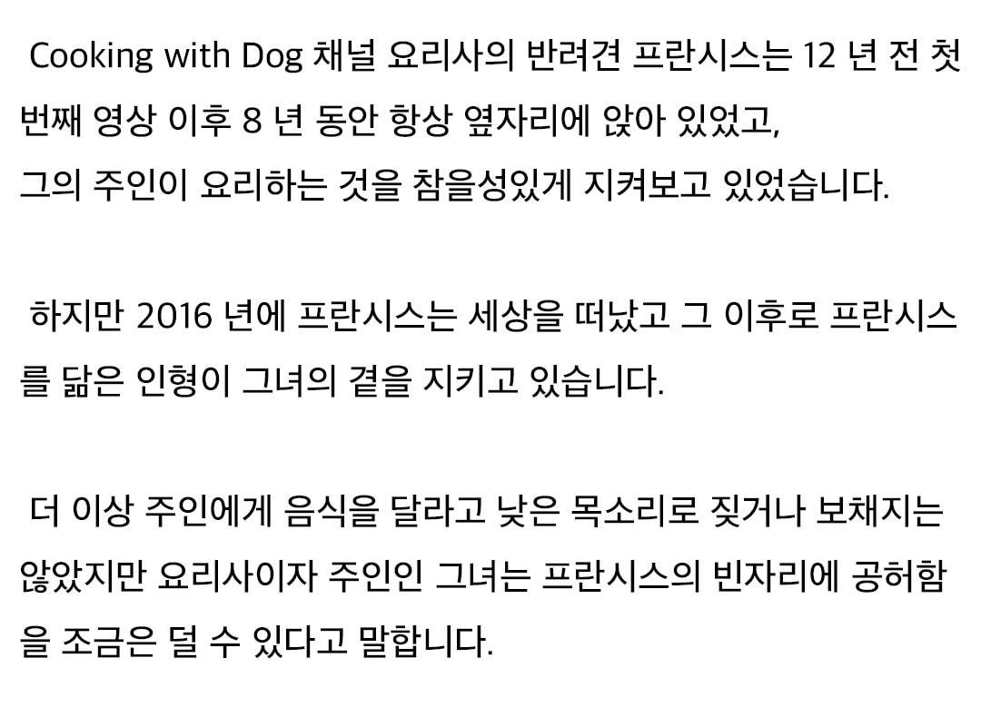 어느 요리 유튜버가 인형과 함께 촬영하는 이유 | 인스티즈