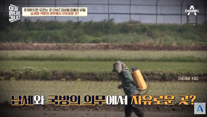대성동 마을이 북한과 얼마나 가까운지 체감 | 인스티즈