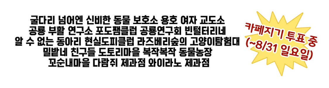 대중교통 사실상 무제한…'혜자' 교통패스 나온다 | 인스티즈