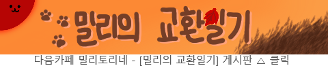 무서운 얘기 | 인스티즈