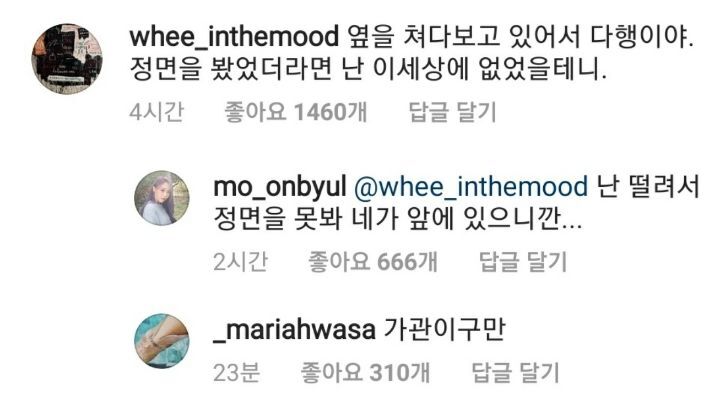 천방지축 어리둥절 빙글빙글 돌아가는 우당탕탕 케이팝.jpgif (스압) | 인스티즈