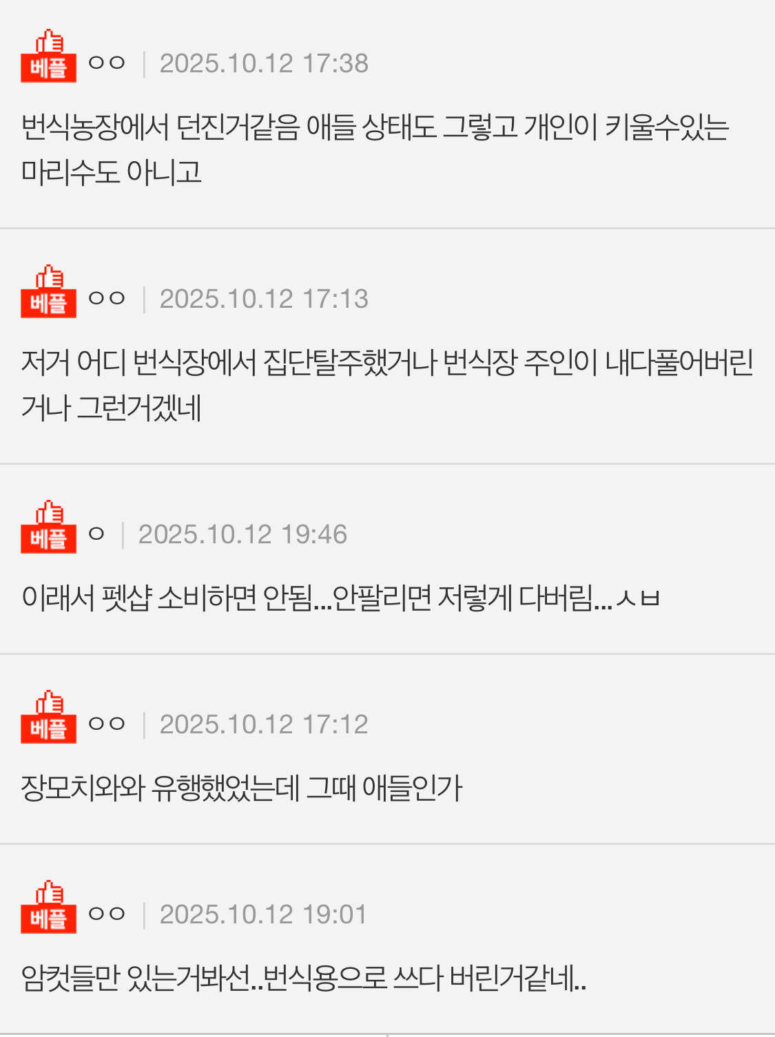 서울에서 누가 강아지 대량으로 유기함 | 인스티즈