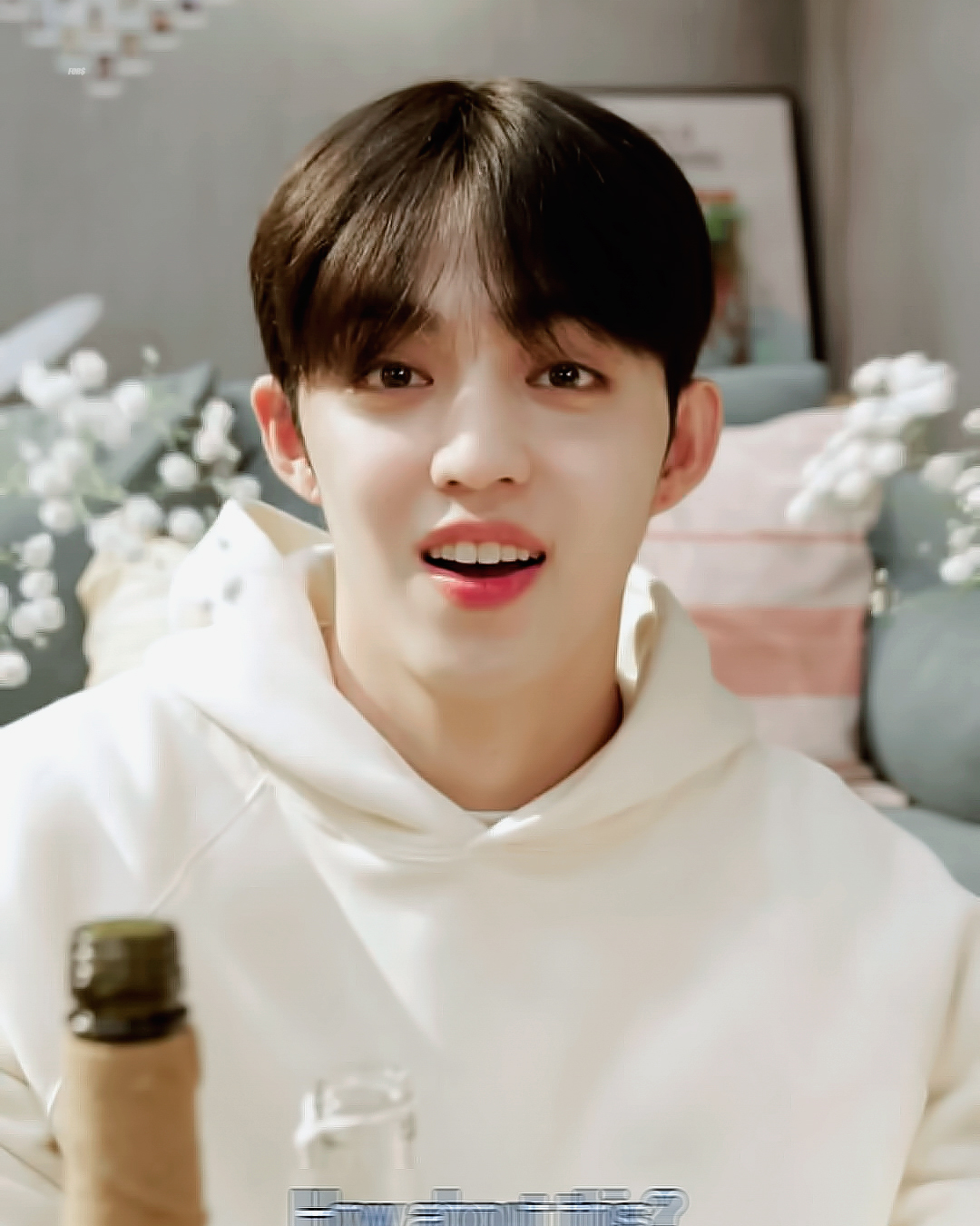 쿱스 이미지