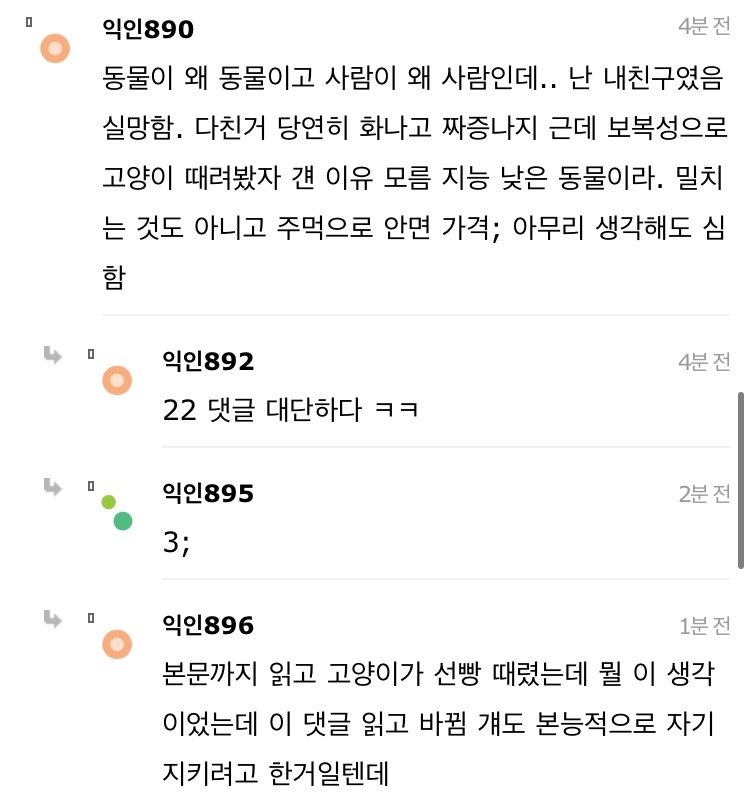 길고양이 한대 때렸는데 내가 잘못한거냐 | 인스티즈