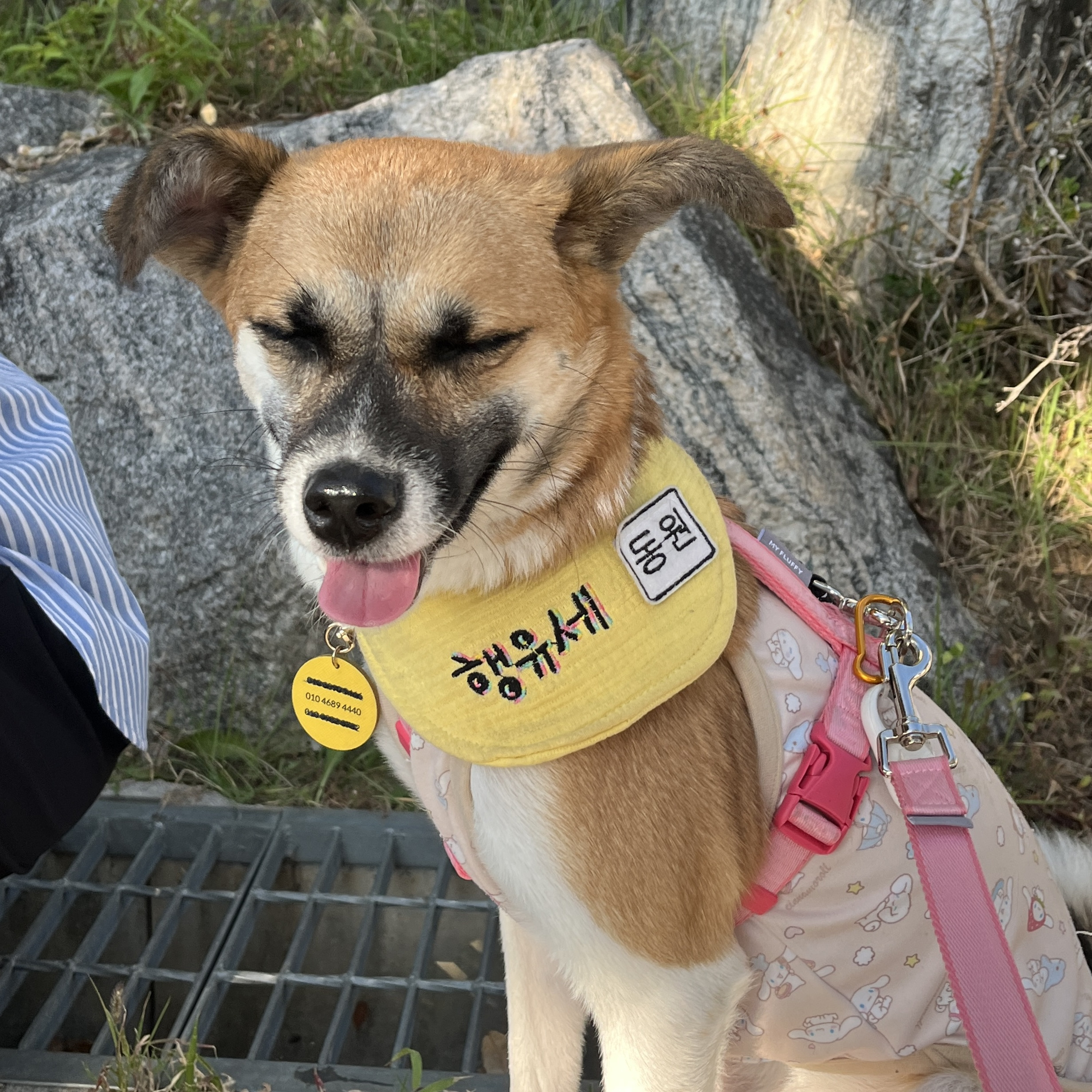 짱구눈썹 동원이 대신 환불하러가줄 평생가좍 찾습니다 ‼️ | 인스티즈