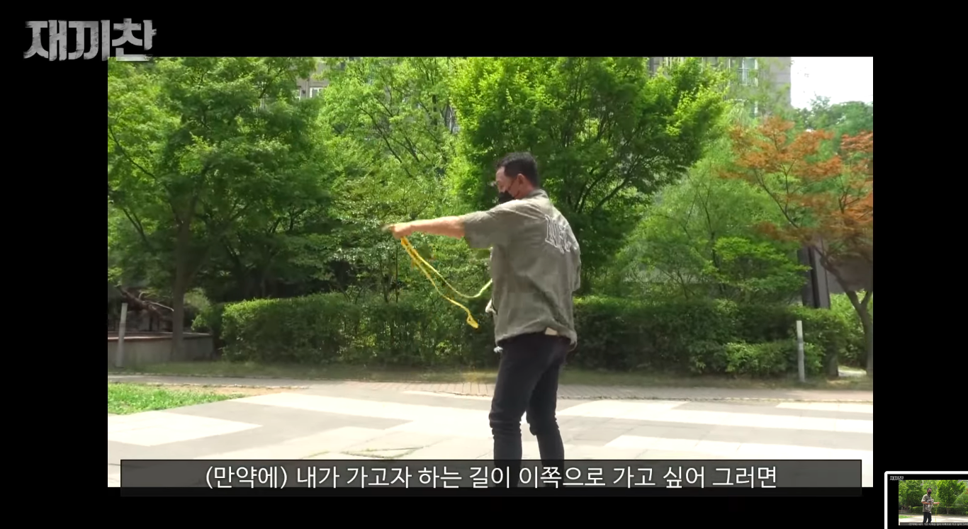 고양이 산책 시키는 강아지 훈련사 이찬종 선생님 | 인스티즈