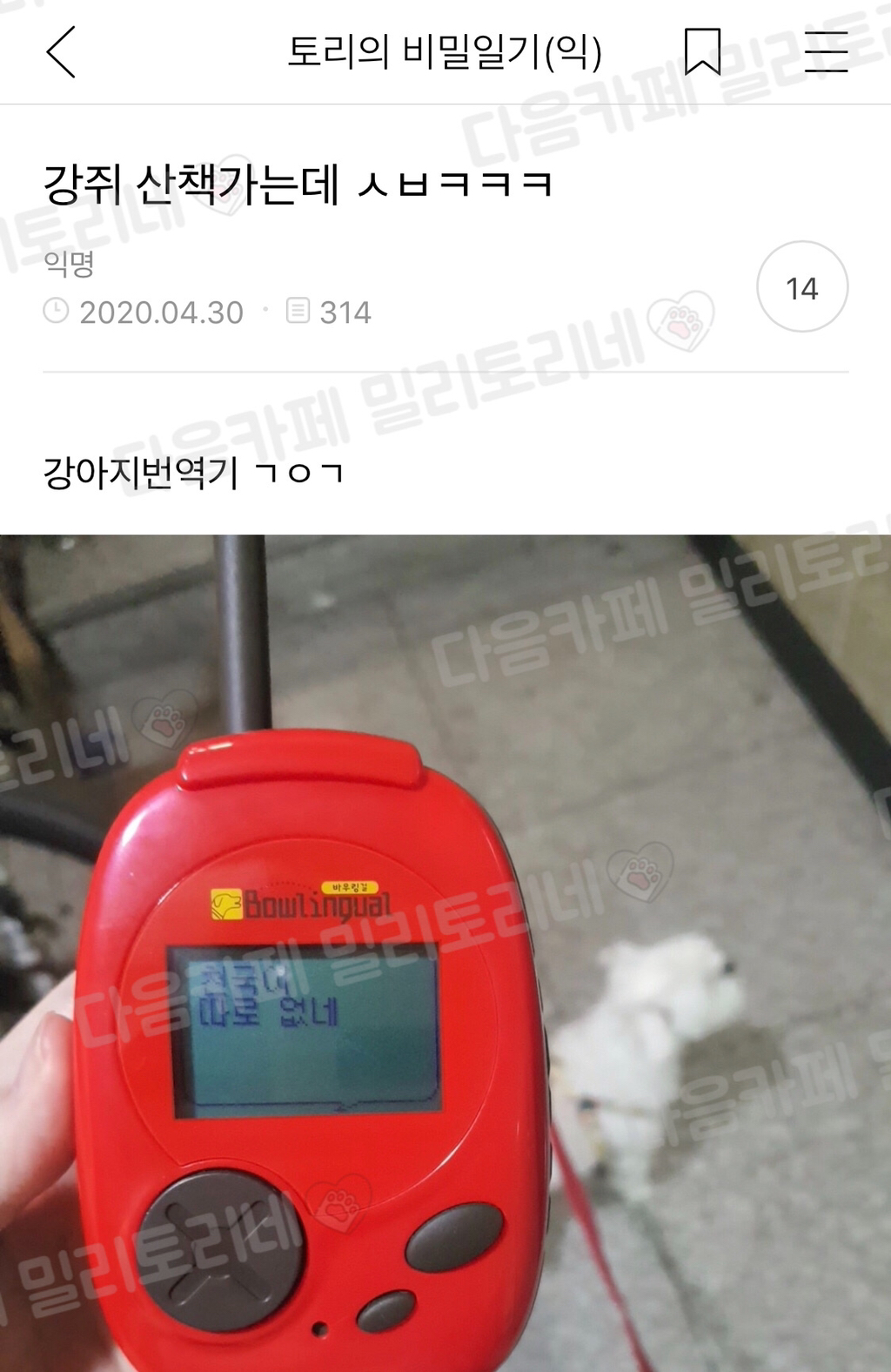 강쥐 산책가는데 ㅋㅋㅋ | 인스티즈