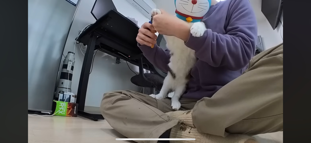 [hahaha] 도라에몽이 된 무(feat.무라에몽) | 인스티즈