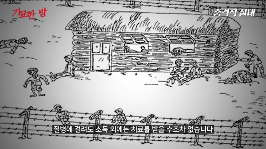 나치보다 더하다는 북한정치범수용소 | 인스티즈