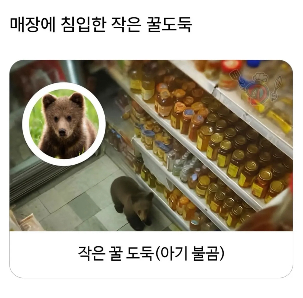 매장에 난입한 꿀 도둑 | 인스티즈
