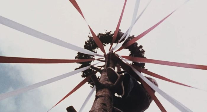 미드소마 감독이 영감을 받은 고전영화 | 인스티즈