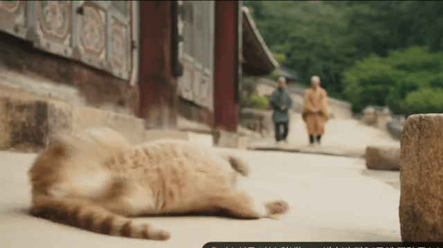 영상매체에는 필요 없는 컷이 들어가면 안된다는게 상식이다.twt | 인스티즈