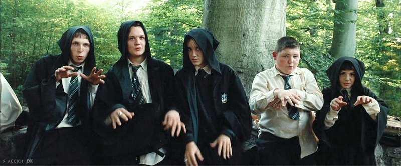 해리포터 팬들 사이에서 갈리는 유형 | 인스티즈