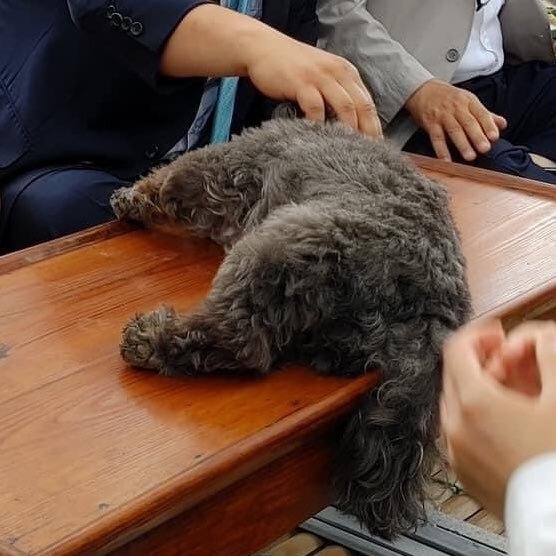 문토리 이미지