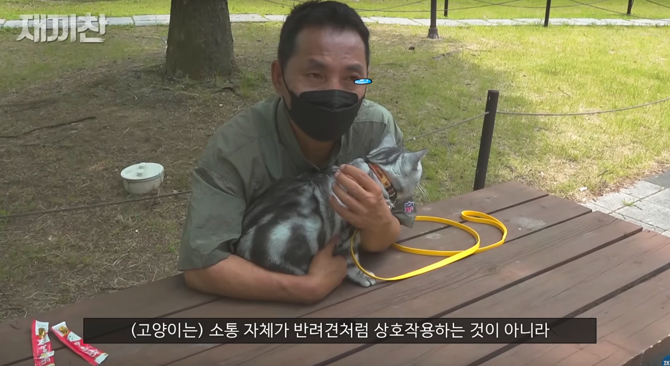 고양이 산책 시키는 강아지 훈련사 이찬종 선생님 | 인스티즈