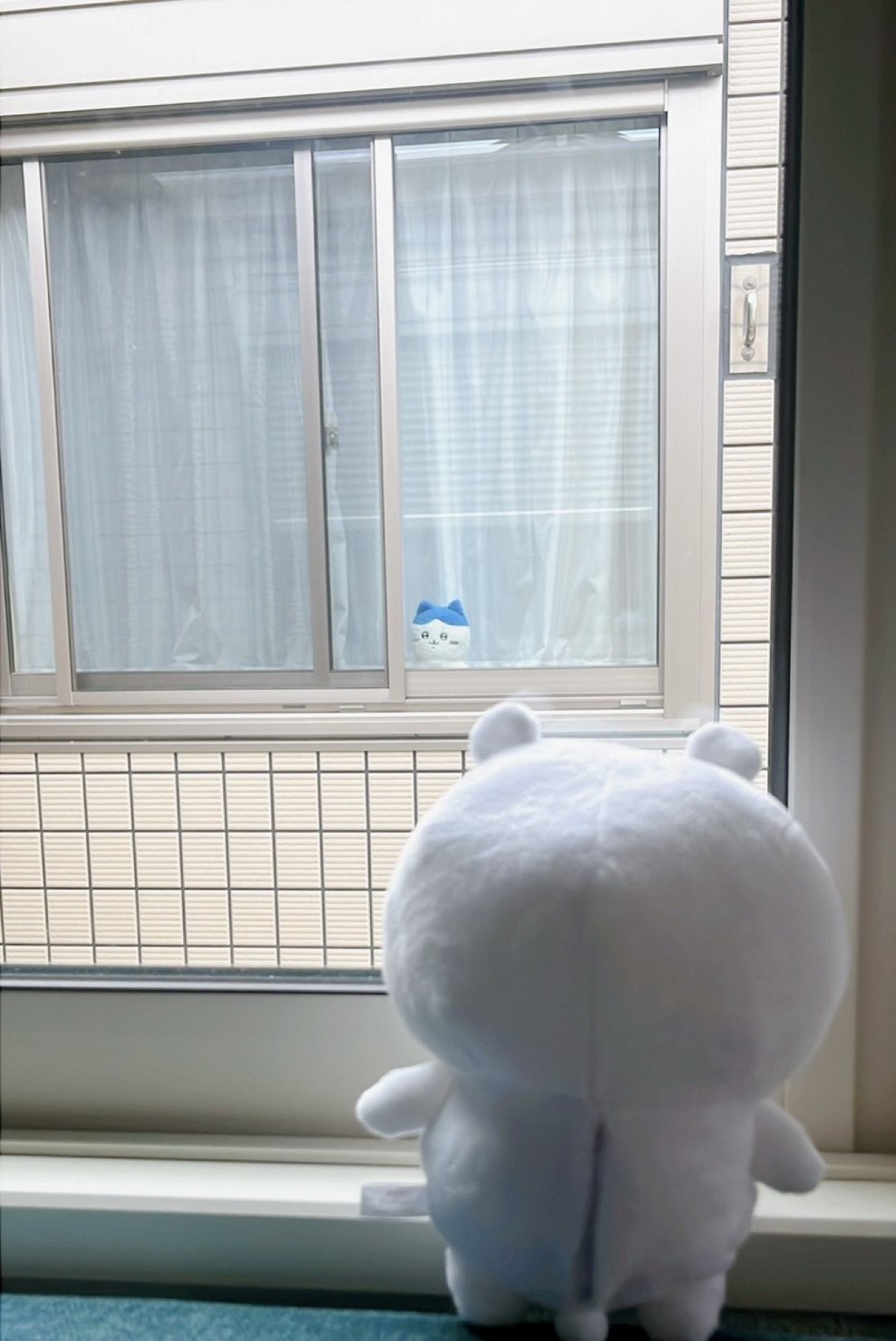 [일본문화] 치이카와 창밖을 향해 놔뒀더니 | 인스티즈