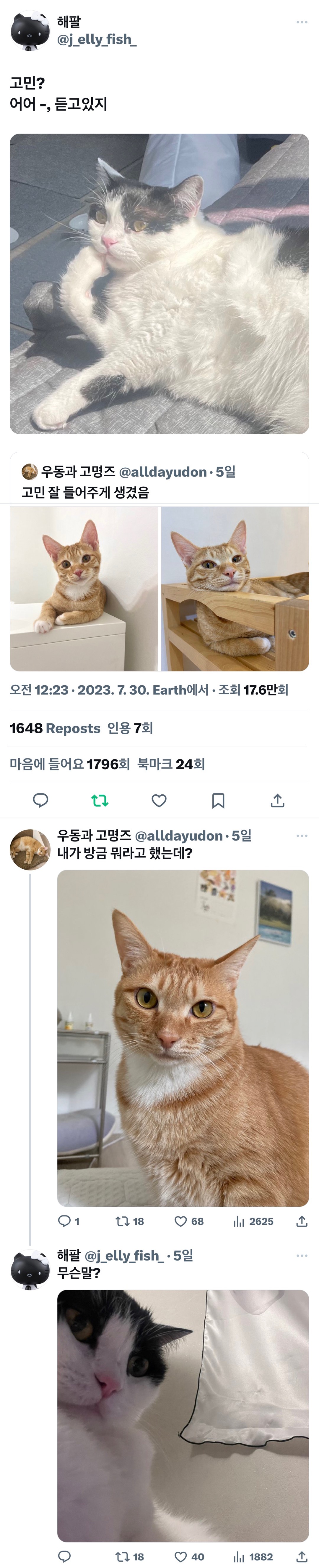 표정뭐야 누워있는사람 첨보나.twt | 인스티즈