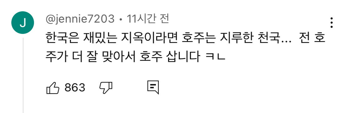 호주 사는 유튜버가 말하는 호주에 의외로 우울증이 많은 이유.jpg | 인스티즈