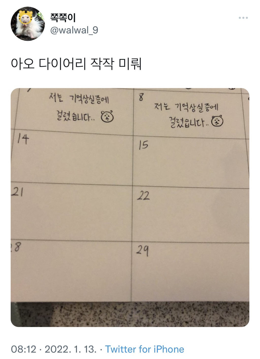 1월부터 얼레벌레 다이어리 쓰는 사람들 모임.twt | 인스티즈