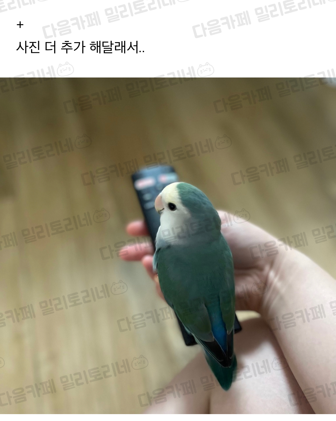 나 무시 당하는 거 맞지 | 인스티즈