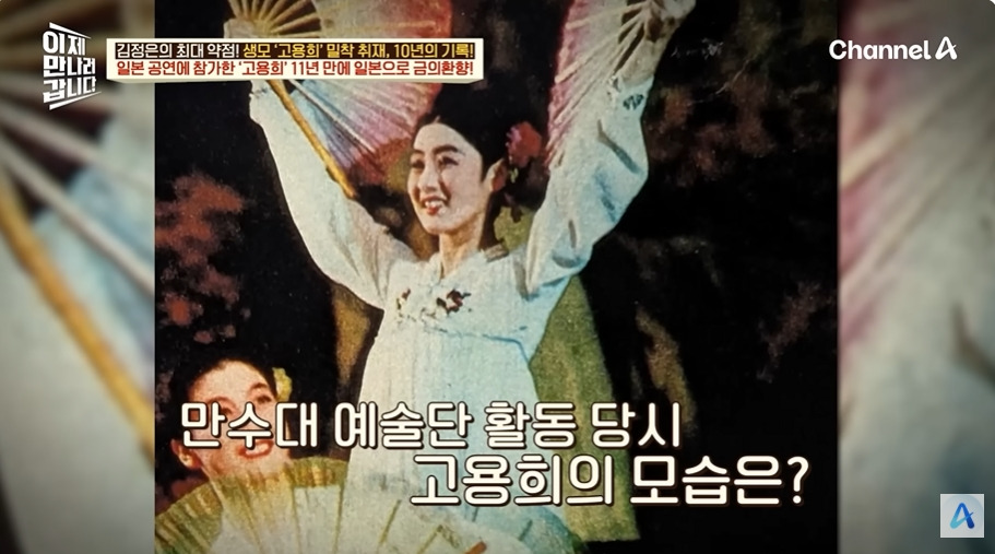 일본에서 수십억 쓸어담았다는 북한 무용수공연 | 인스티즈