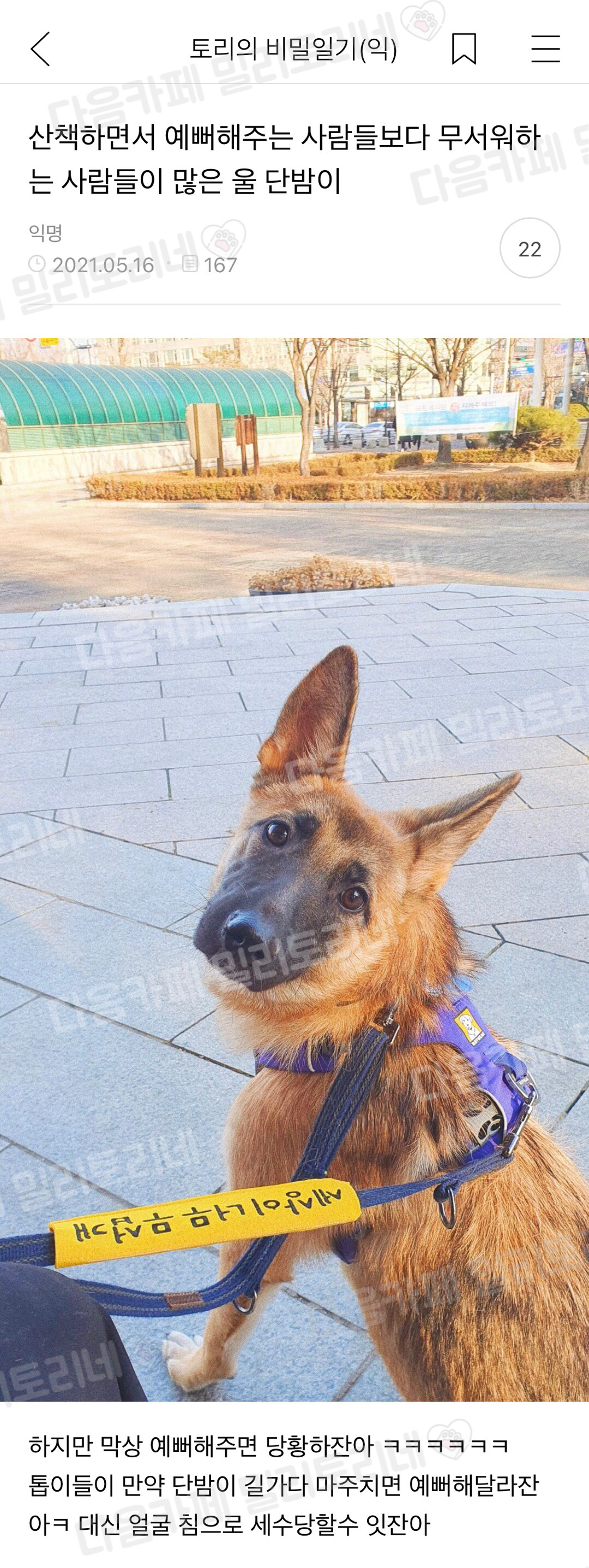 산책하면서 예뻐해주는 사람들보다 무서워하는 사람들이 더 많은 울 단밤이 | 인스티즈