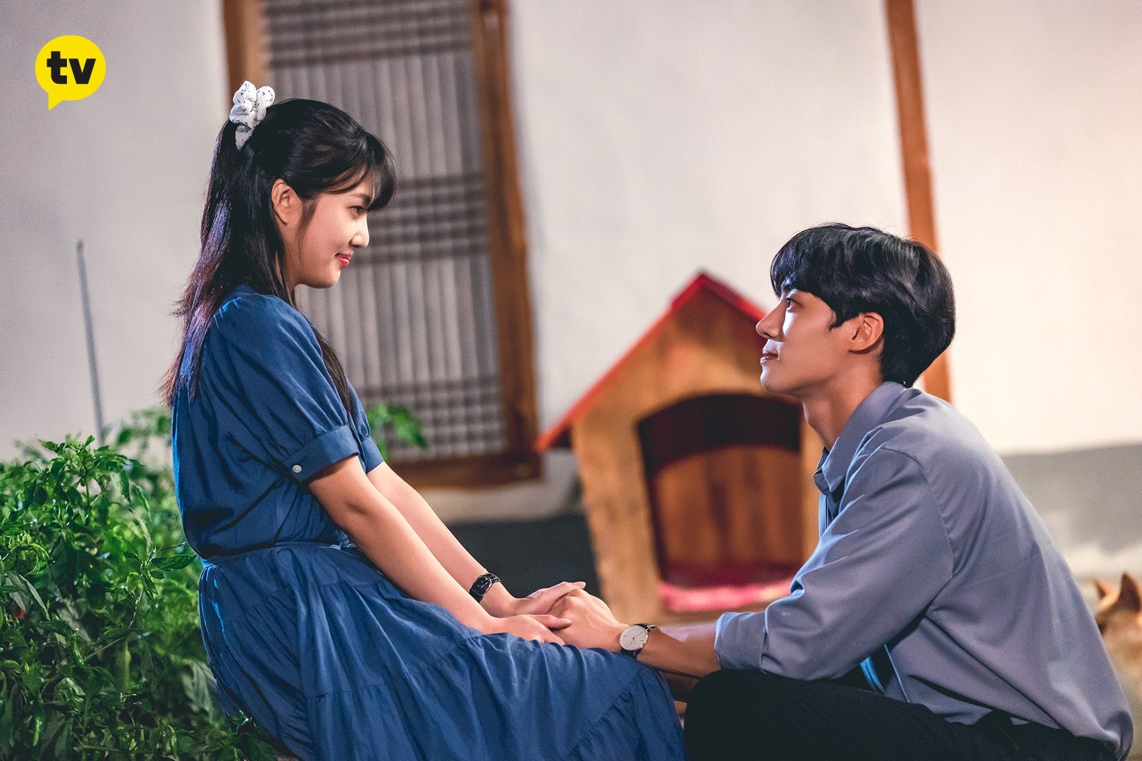 어바웃조이 이미지