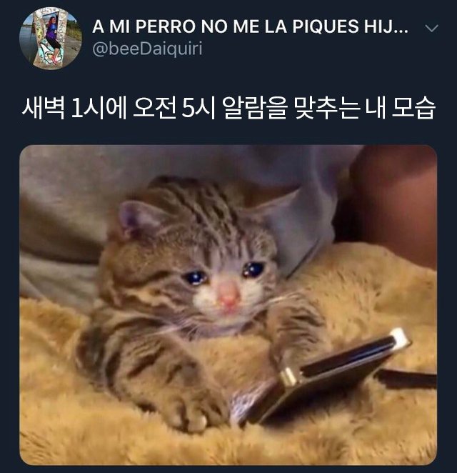 새벽 1시에 오전 5시 알람을 맞추는 내 모습 | 인스티즈