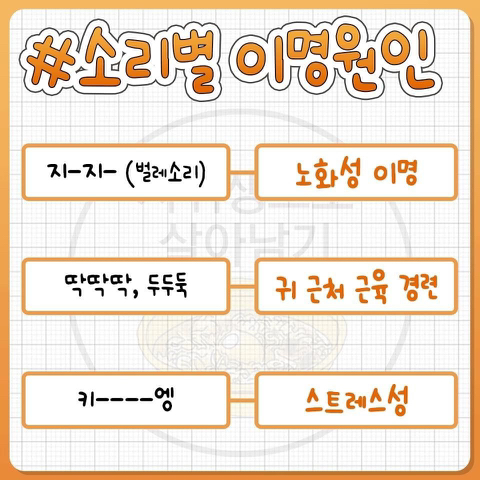 이명 잦은 사람들 귀에서 나는 소리별 이명 원인.jpg | 인스티즈