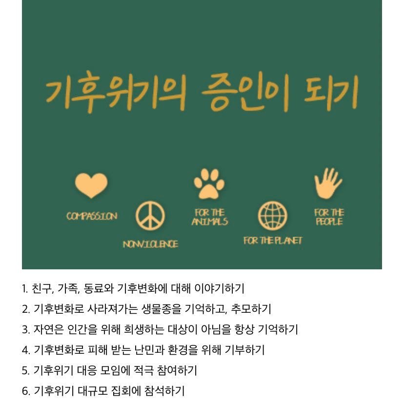 지구를 위해 할 수 있는 현실적인 환경실천 60가지 | 인스티즈