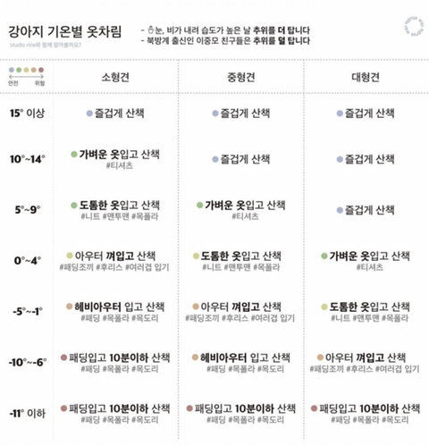 강아지 기온별 옷차림.jpg | 인스티즈