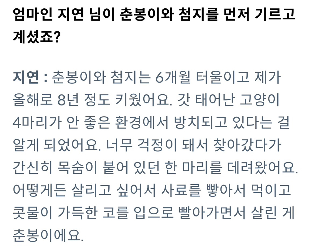 잡지 인터뷰한 언더월드(feat.춘봉첨지) | 인스티즈