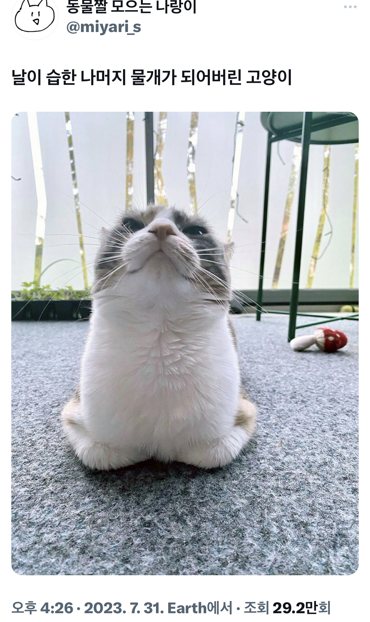 표정뭐야 누워있는사람 첨보나.twt | 인스티즈