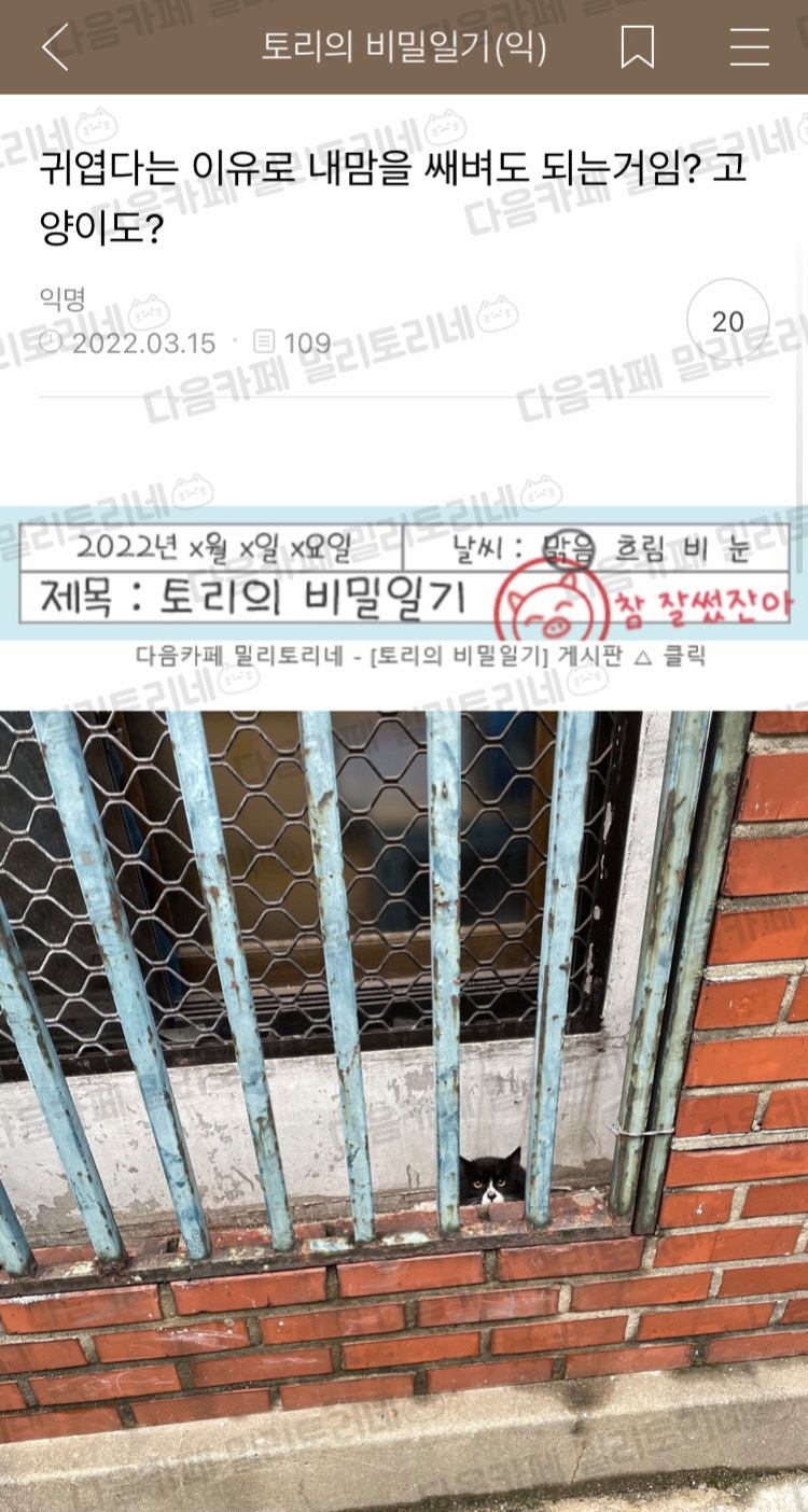 [냥귀염] 귀엽다는 이유로 내맘을 쌔벼도 되는거임? 고양이도? | 인스티즈