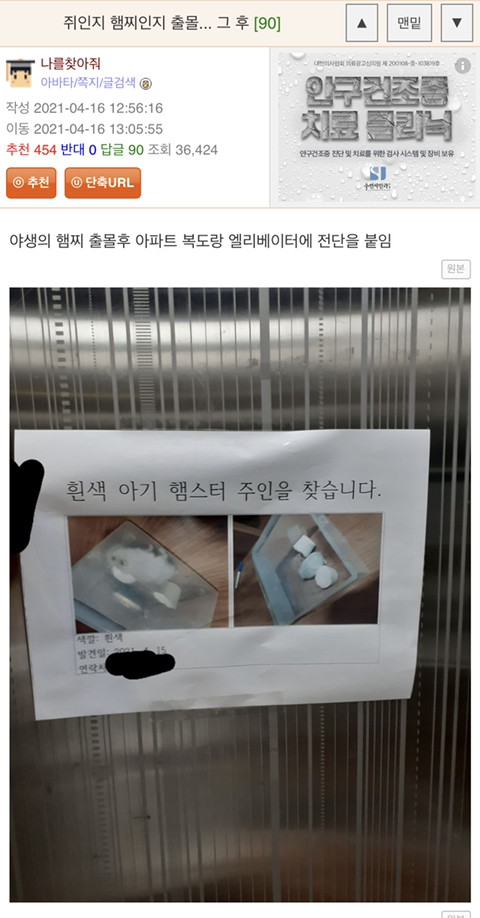 집에서 쥐 나왔는데 햄스터 같기도 하고..(+후기) | 인스티즈