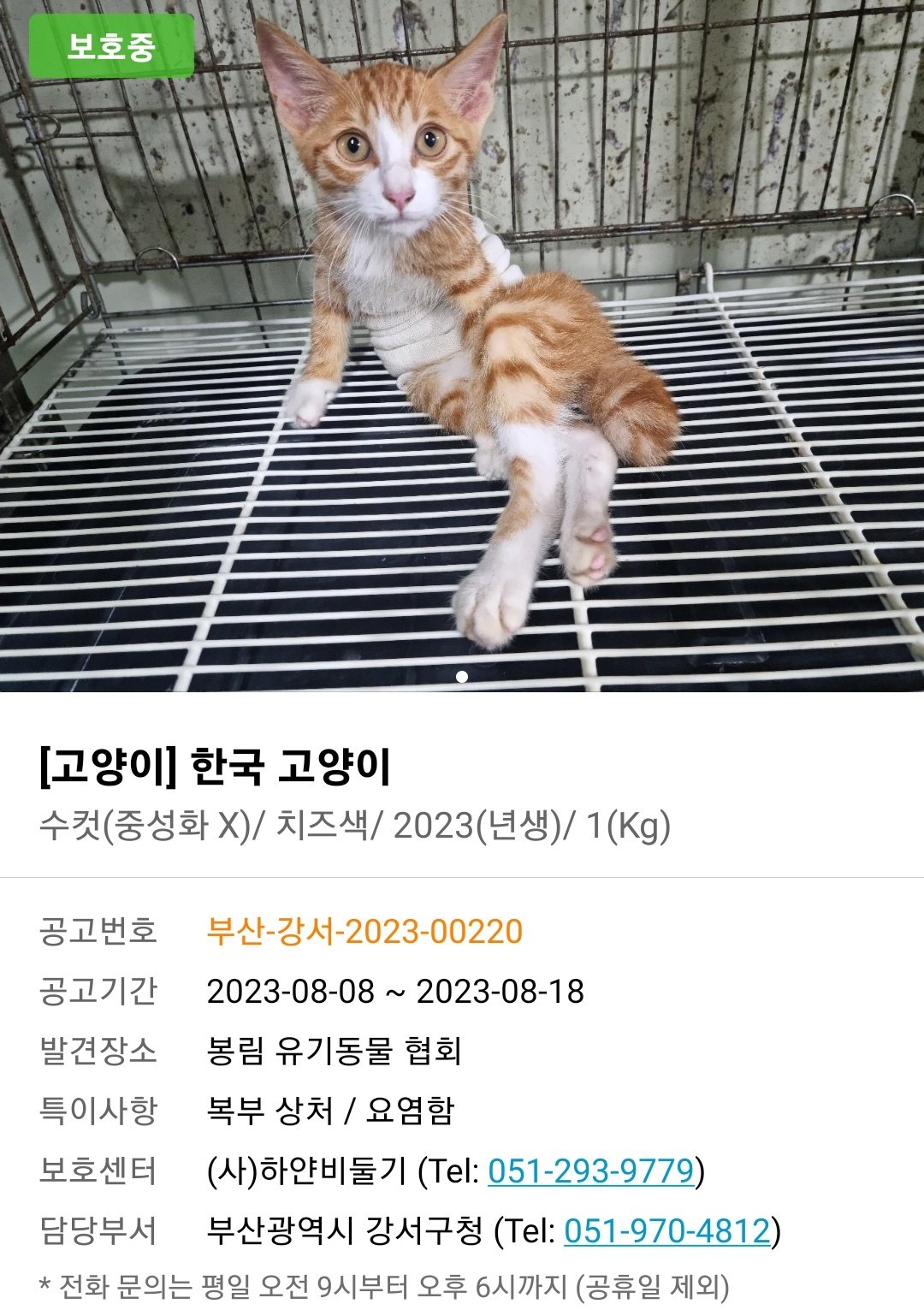 포인핸드 이미지